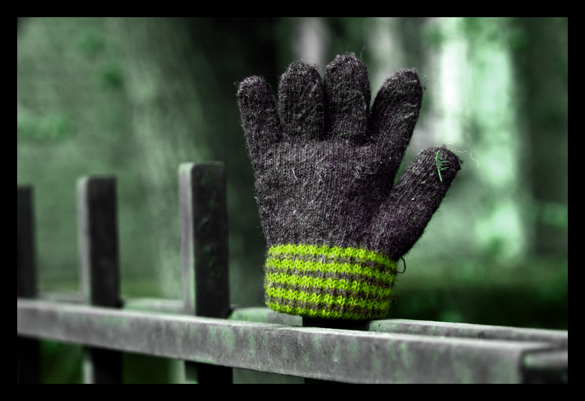 Glove