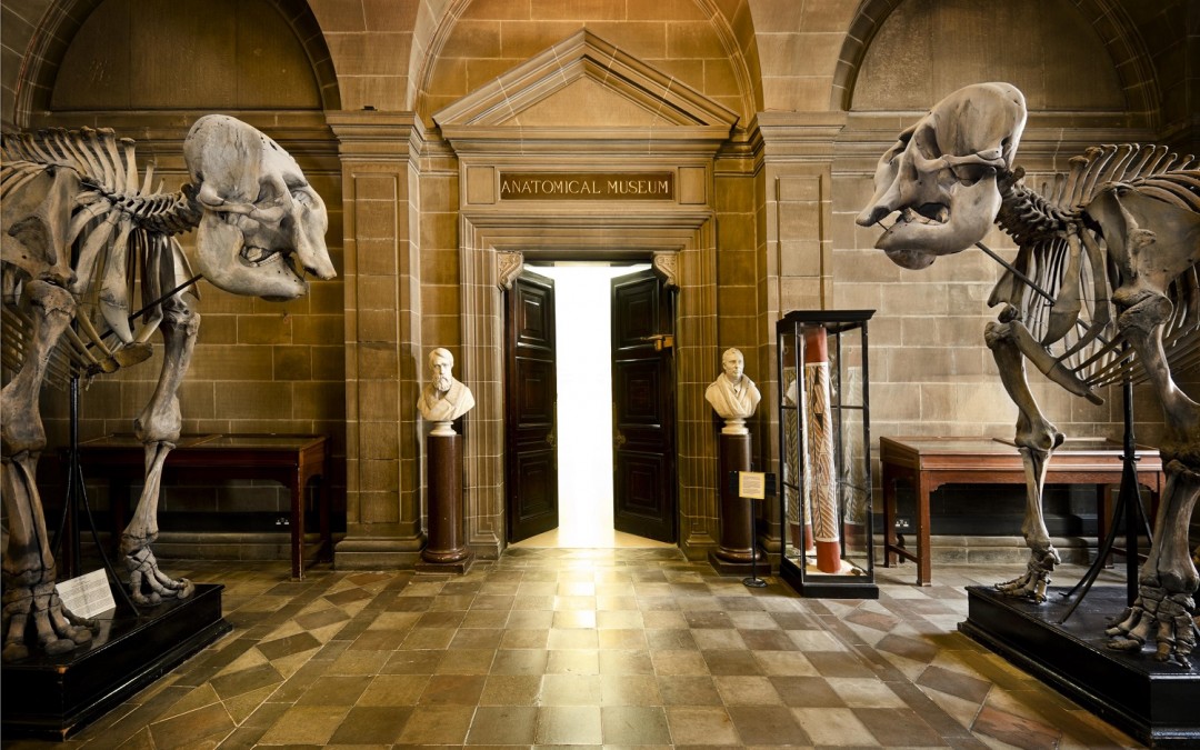 Think you know Edinburgh’s museums? Think again…