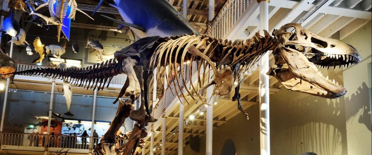 Three Edinburgh attractions named in the top 20 most visited in the UK